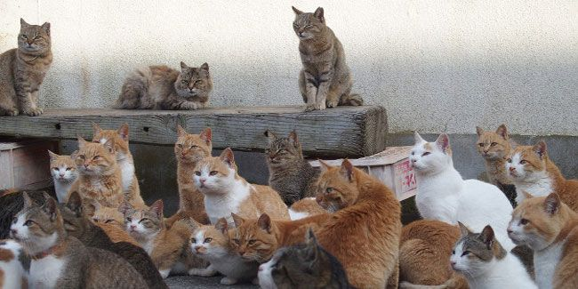 Фото с Pinterest