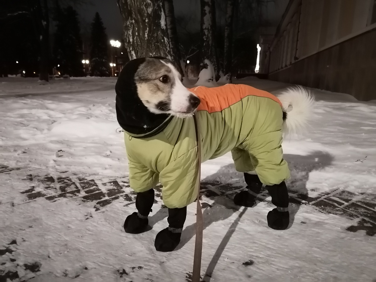 Фото автора