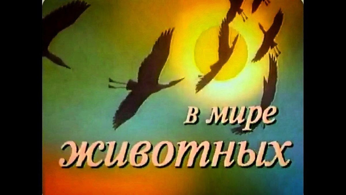 Фото с просторов всемирной паутины.