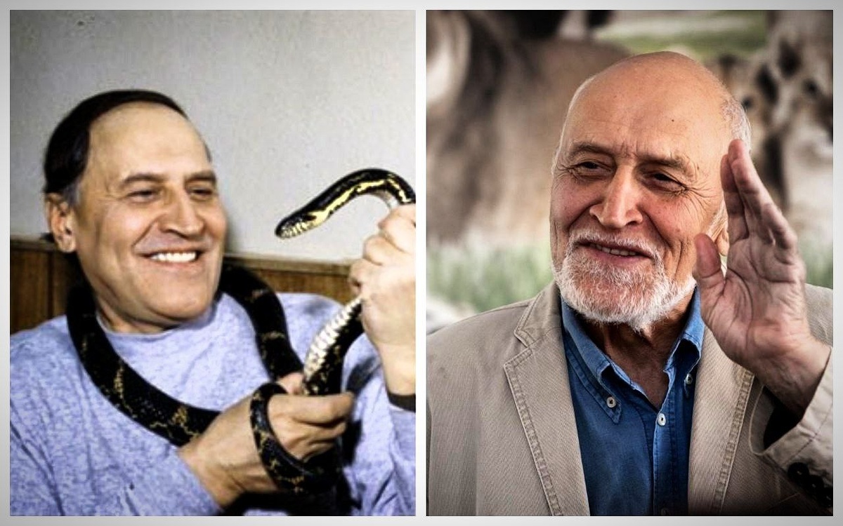 Фото с просторов всемирной паутины.