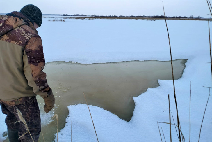   Фото газеты «Краснозерская новь»