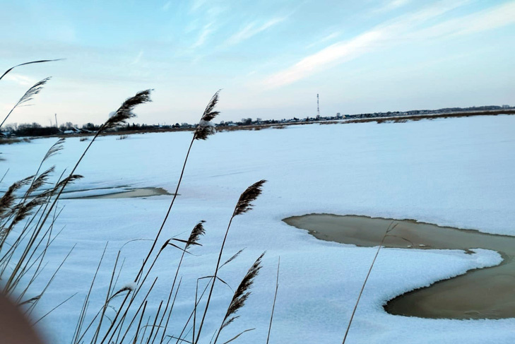 © Фото «Краснозерская новь».📷
