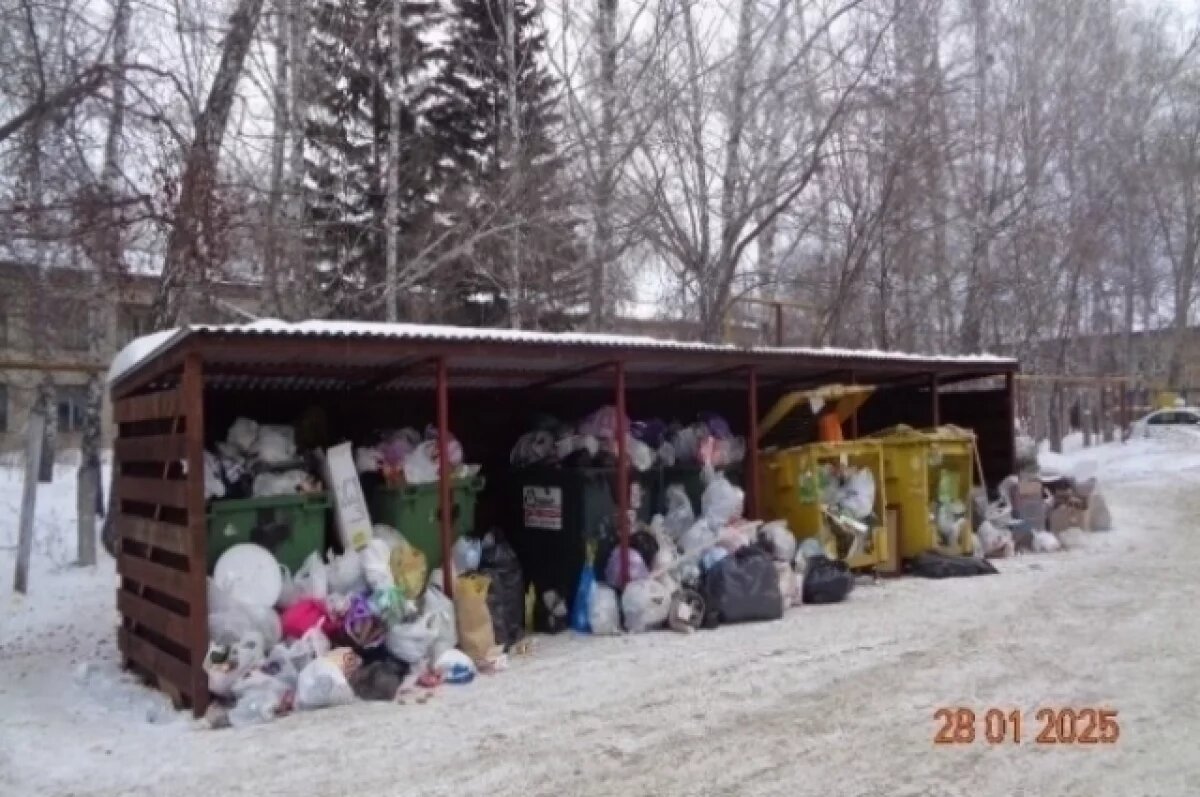    О мусорном коллапсе в новосибирском Искитиме рассказал глава города