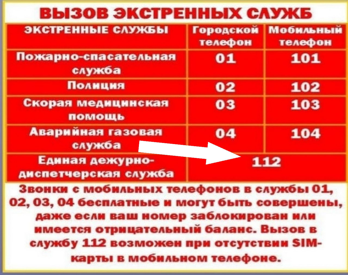    Пейджеры: Почему старое снова актуально и где они все еще незаменимы