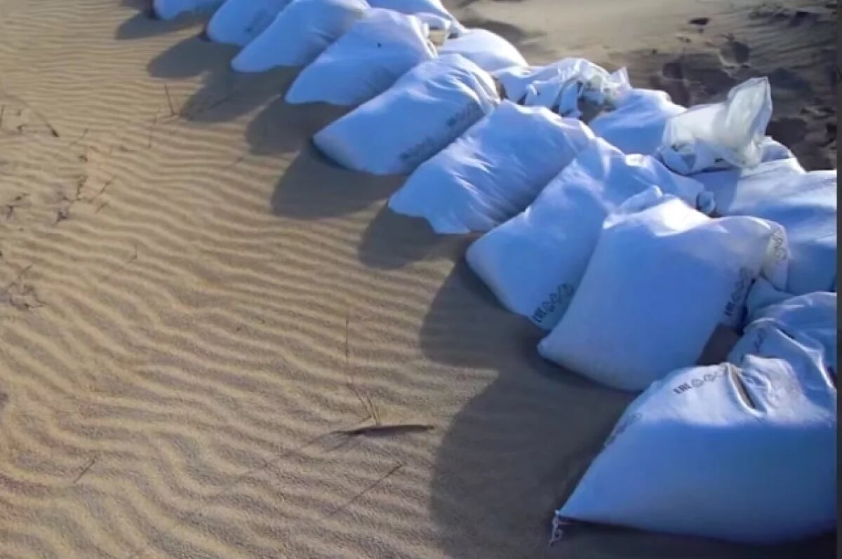    Три линии защиты памятника природы от мазута соорудили в Краснодарском крае