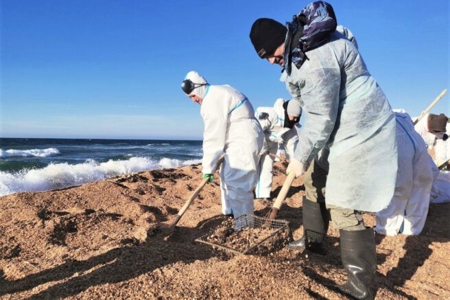    admkrai.krasnodar.ru