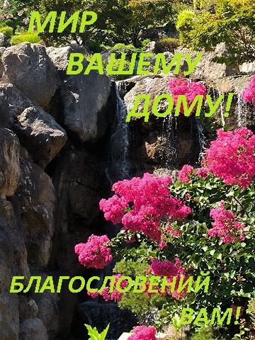 The author's photo and design