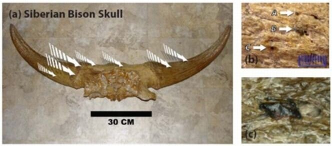 Фэйрстоун Р., Уэст А., Уэрвик-Смит С., Цикл космических катастроф. Катаклизмы в истории цивилизации, М., Вече, 2008, 480 с.