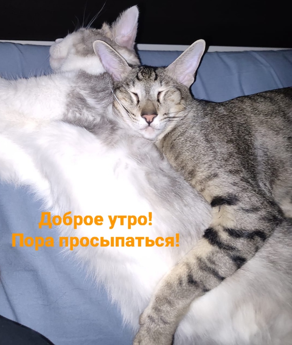 Доброе утро картинки мужчине на расстоянии