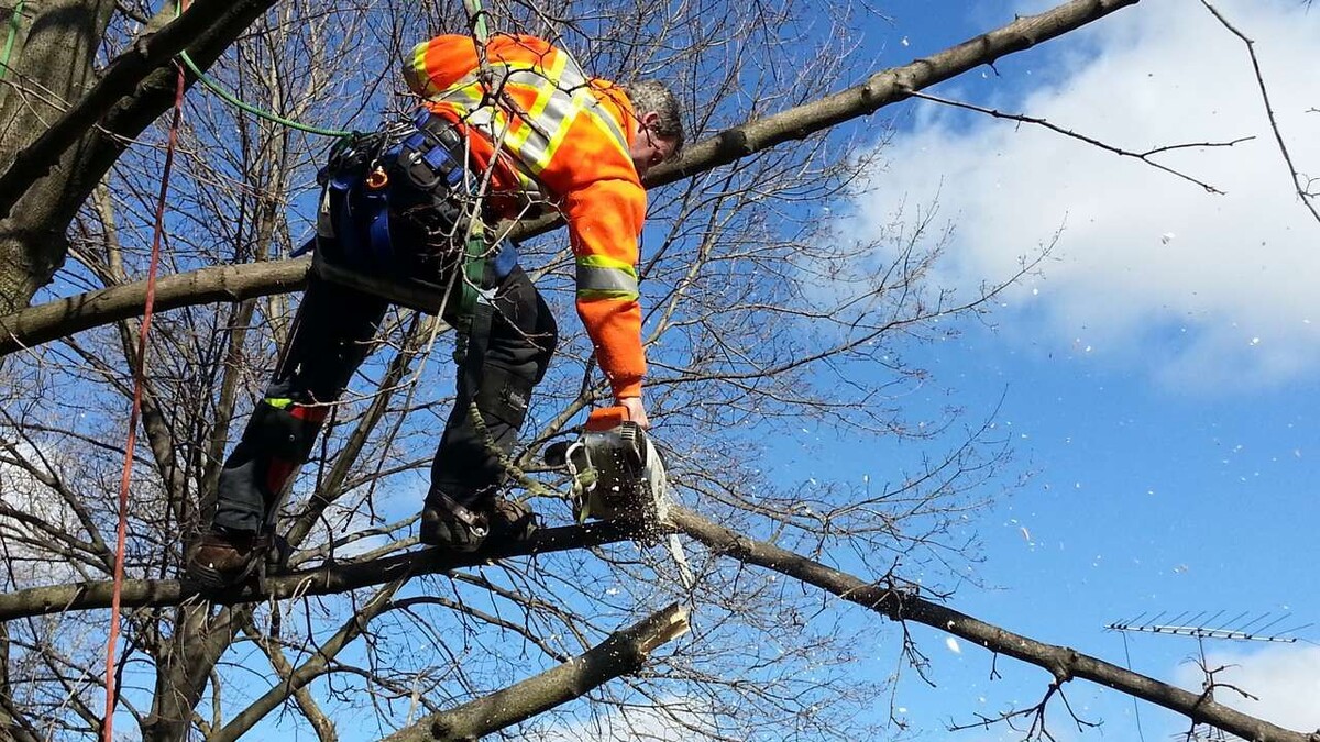 Фото: Минприроды РФ 