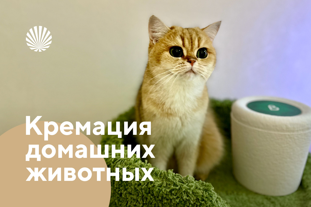 Фото похоронного бюро "Свет" https://burosvet.ru
