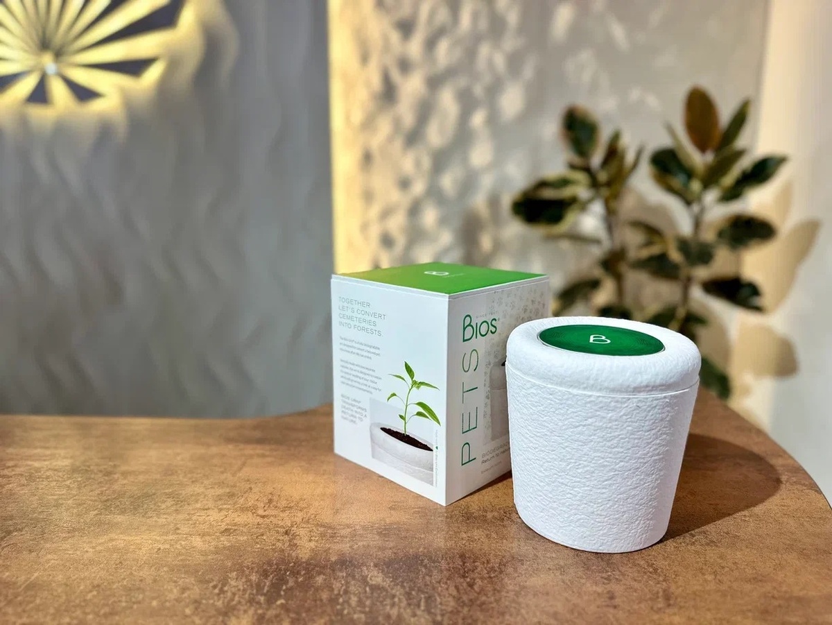 Bios Urn Pets  в похоронном бюро "Свет"