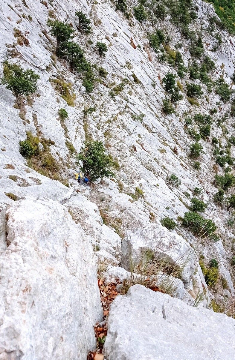 Начало правого варианта: станция R0 на крупном дереве