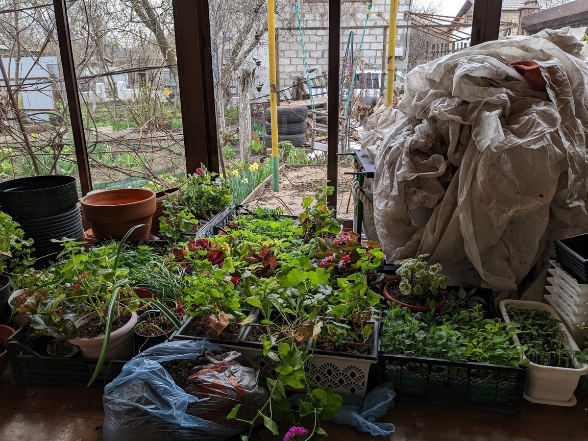 Кусочек бардака на веранде по весне