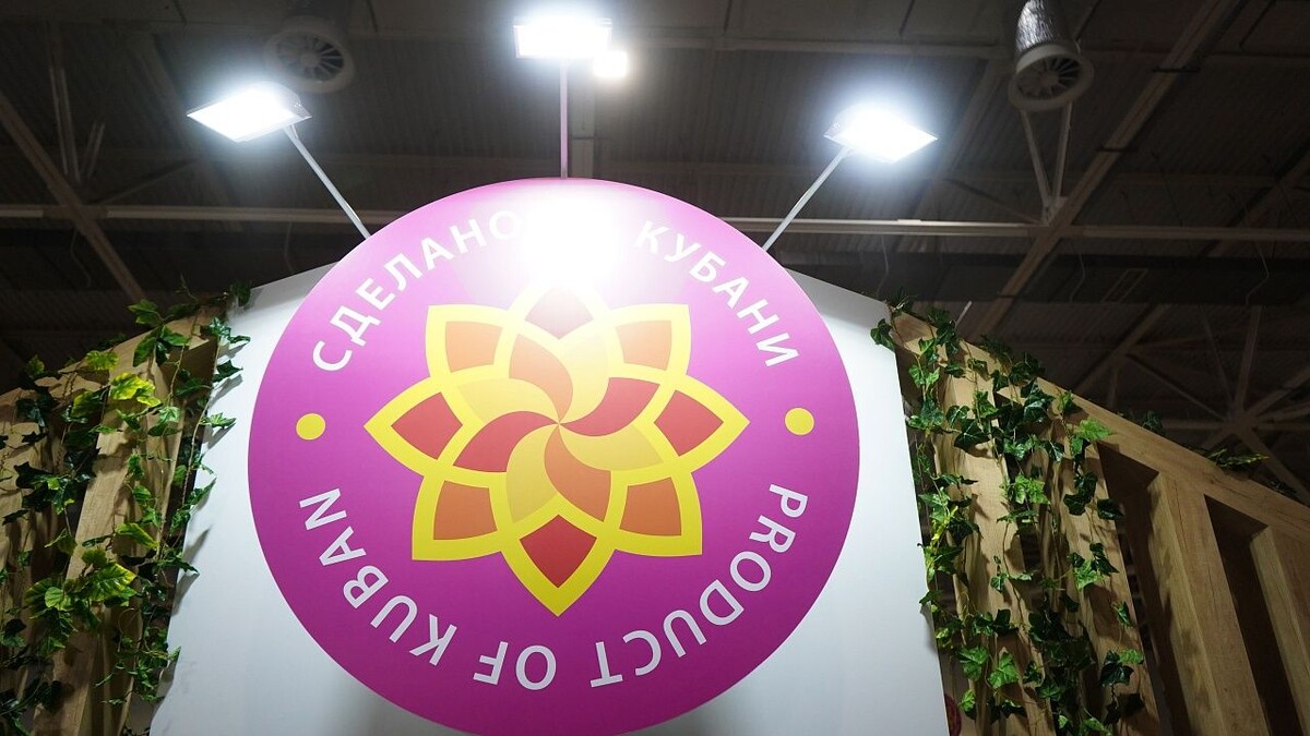    Фото: телеканал «Краснодар»