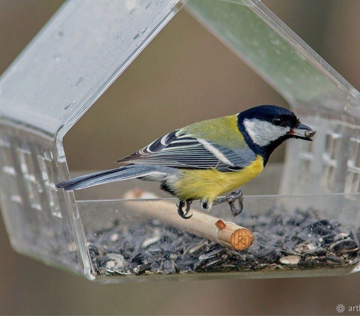 фото с сайта livemaster, но у нас похожая кормушка