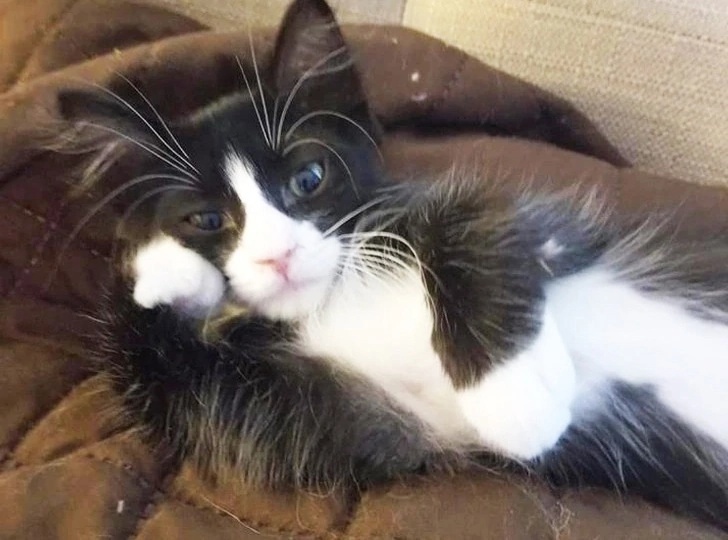 иллюстрация из яндекс картинки.