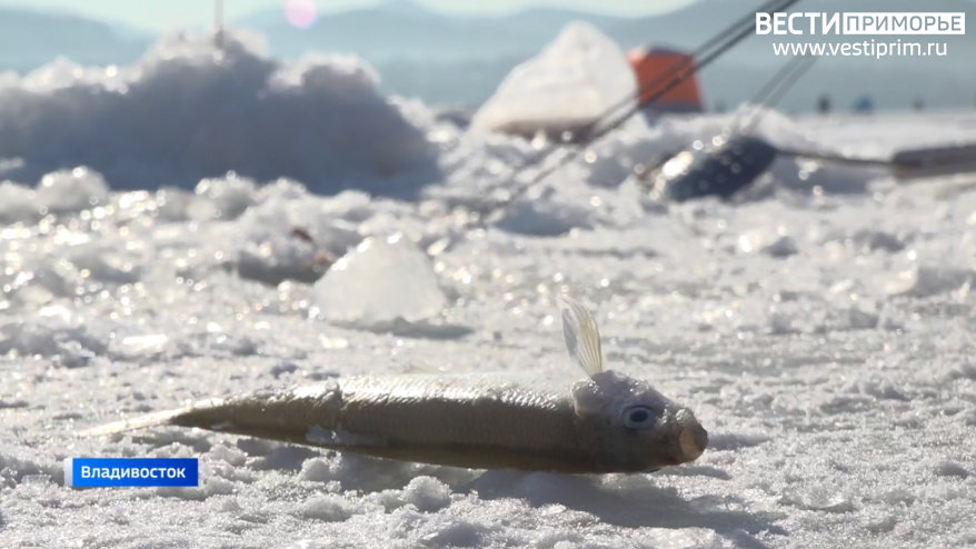    Источник фото: