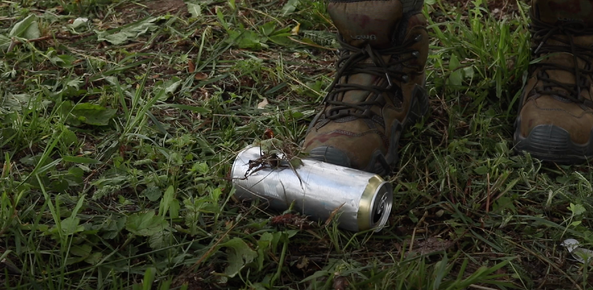 Господа не бросайте мусор в лесу!