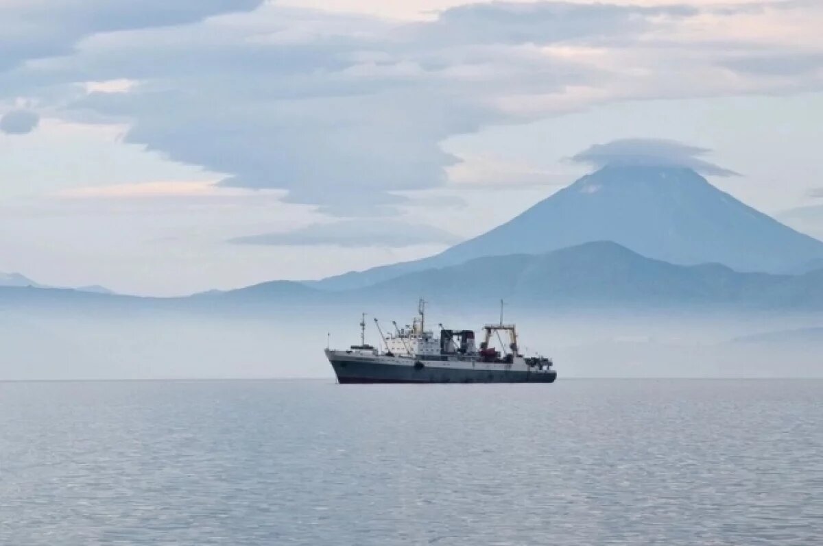    Камчатская компания подделала документы для разрешения выхода судна в море