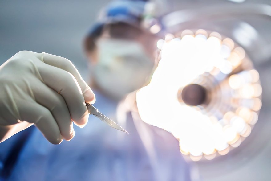    Фото: Peter Porrini / Shutterstock / Fotodom