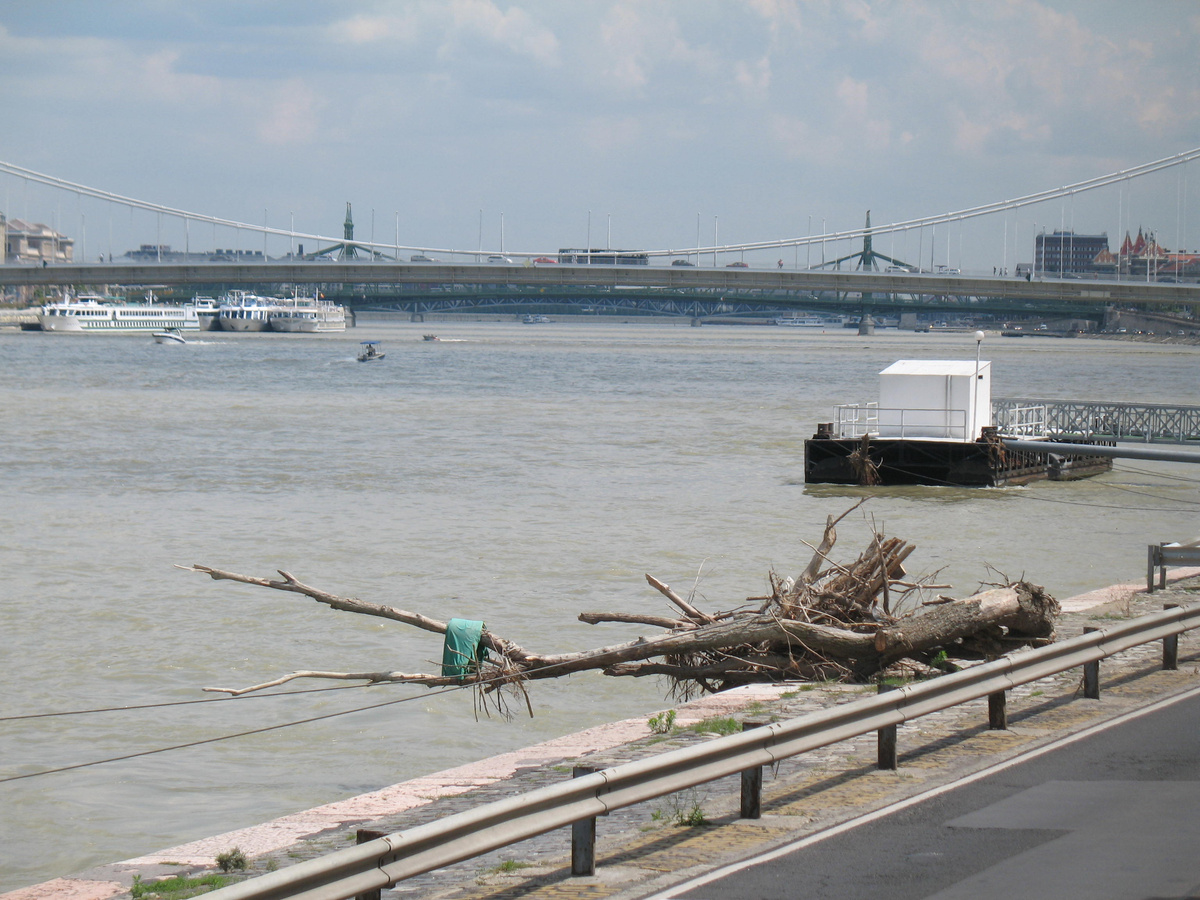 Вот так выглядел Дунай тем летом. Последствия разлива. А если еще и ледоход добавить...