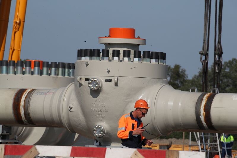     / Источник: ©ИЗВЕСТИЯ/Дмитрий Коротаев