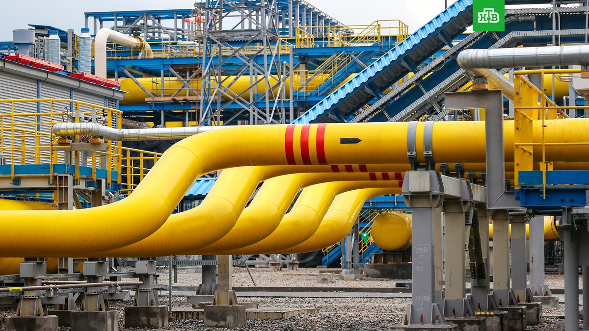    Фото: РИА Новости © 2025, Павел Львов