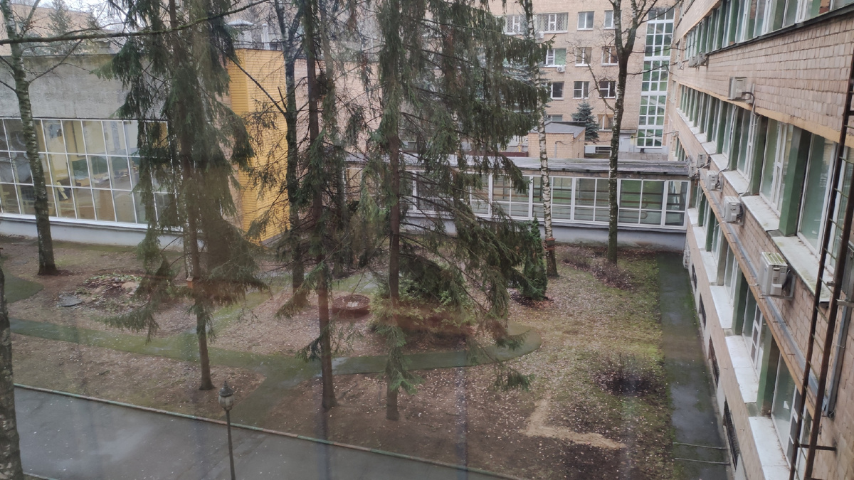 Внутренний двор из окна лабораторного корпуса