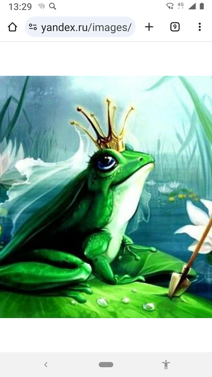 Картинки взяты из интернета