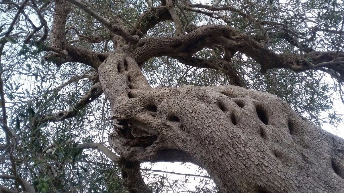 Время - ценный ресурс