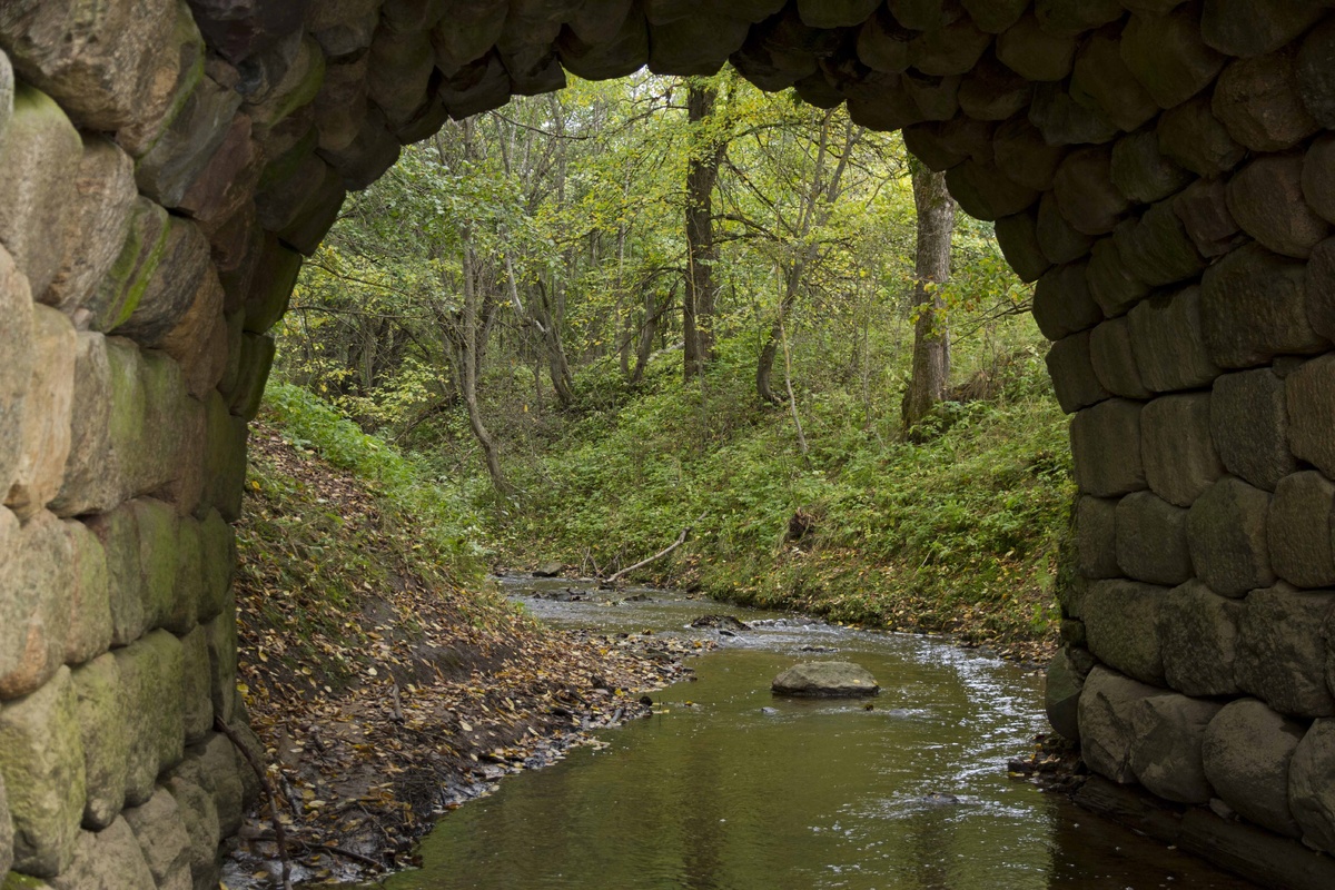 Там крокодил или кажется?