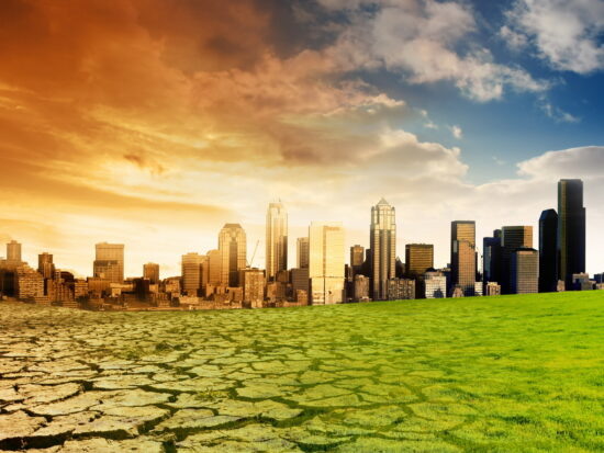 Фото: Яндекс картинки