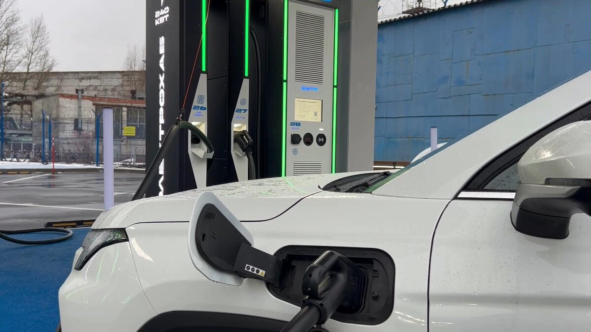    Фото: t.me/keio_spb