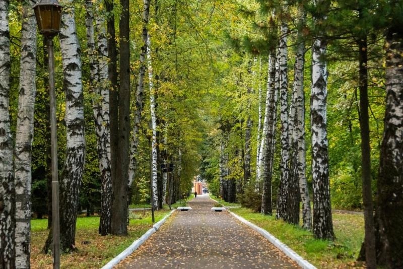 Аллеи санатория