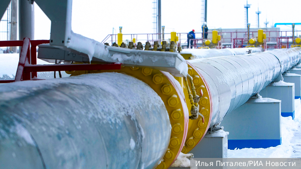     Фото: Илья Питалев/РИА Новости   
 Текст: Александра Юдина