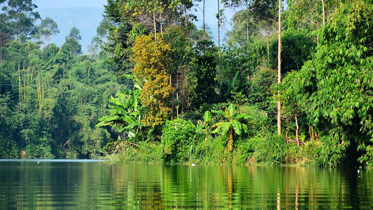 Источник Яндекс картинки