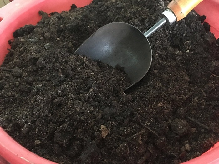 Почвосмесь: не экономьте на грунте!