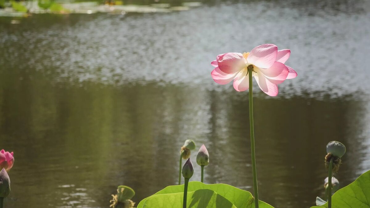     Источник: 1MI