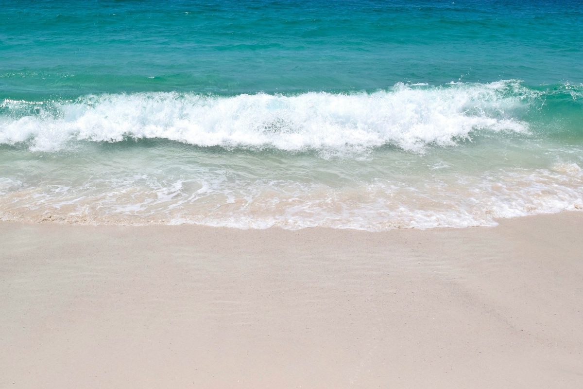 Фото с бесплатного фотостока https://unsplash.com, автор Ch Photography