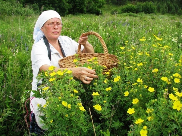 фото из открытыъ источников