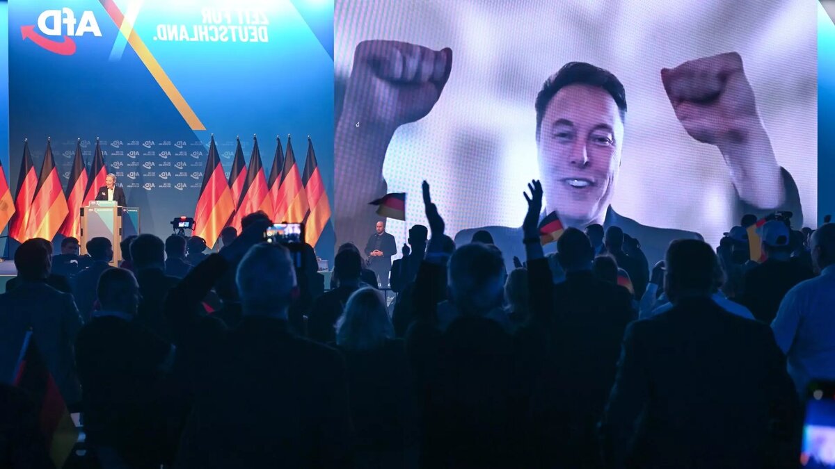 Илон Маск вызвал гнев немцев, поддержав АдГ. Источник: dpa/picture-alliance