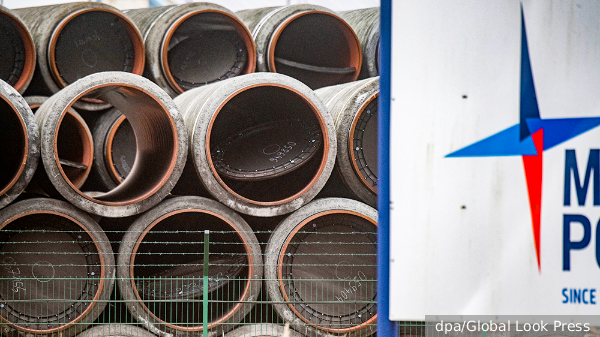     Фото: dpa/Global Look Press   
 Текст: Ольга Самофалова