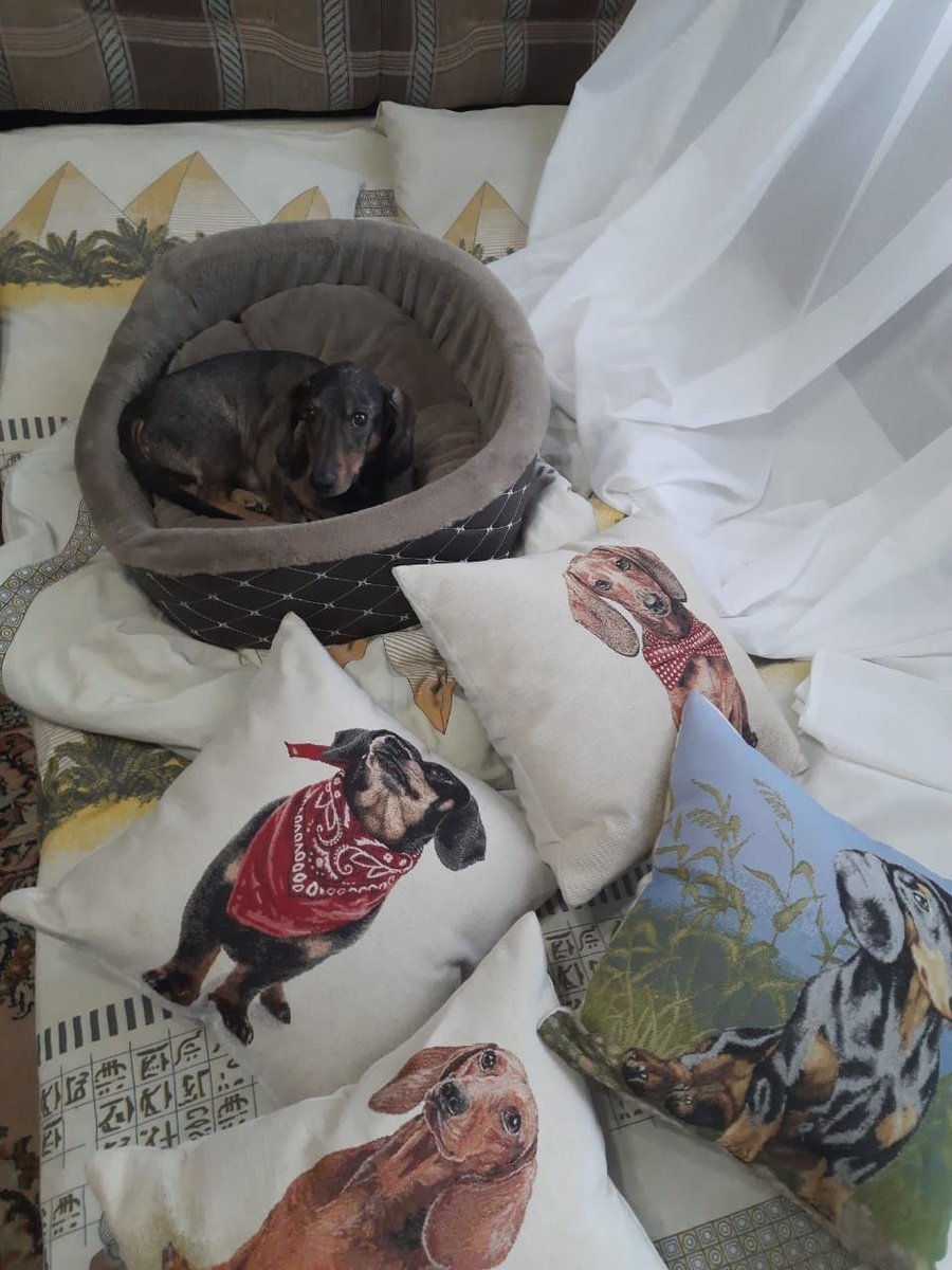 У Доминика просто идеальная «таксячья» атмосфера!