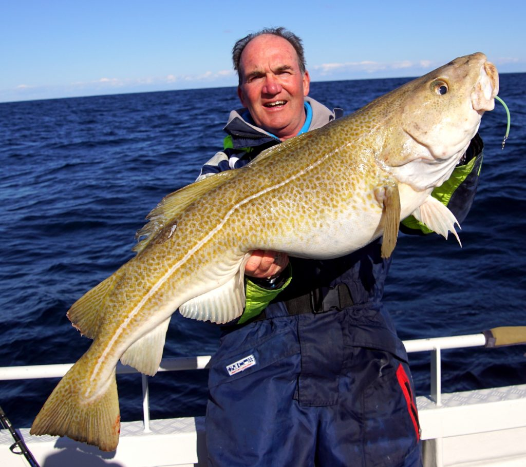 Вот такая рыбка. Фото из интернетов