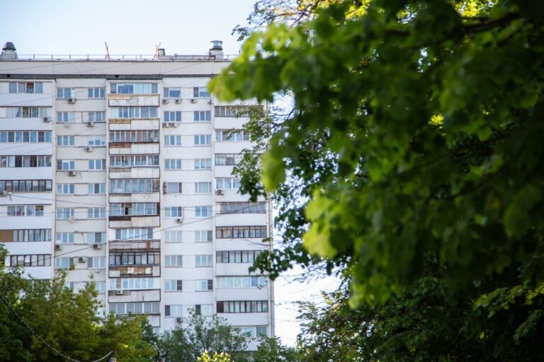    Фото: Общественная Служба Новостей Ксения Евдокимова