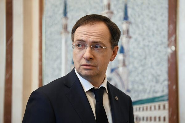 Владимир Мединский / Александр Кряжев/РИА «Новости»  
