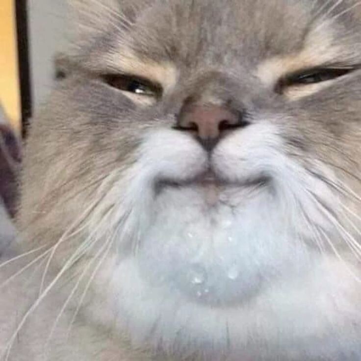 «Когда наконец-то поел нормальный завтрак, а не кофе на голодный желудок»