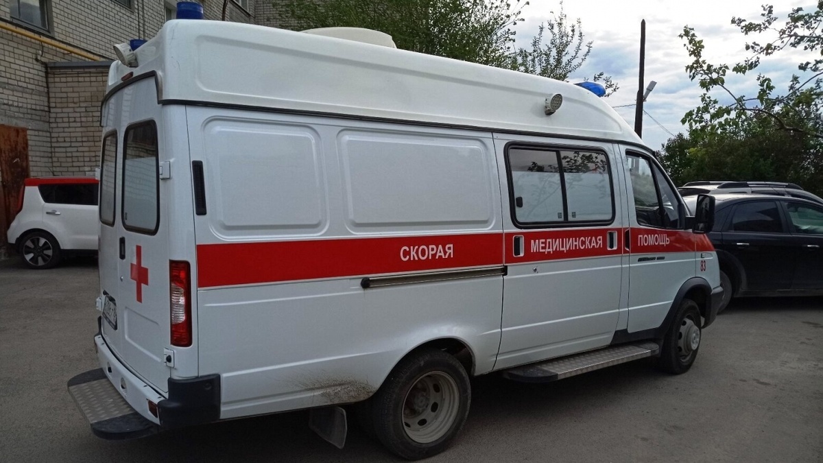    В Саратовской области все больше становится больных свиным гриппомНовости Саратова и области – Сетевое издание «Репортер64»