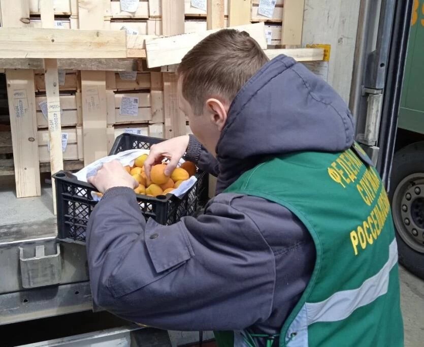 Фото: Уральское межрегиональное управление Россельхознадзора